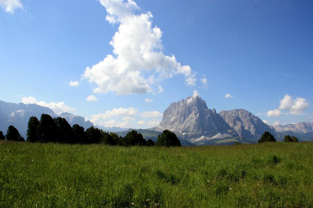 Hotel La Pineta Sëlva di Val Gardena Eksteriør billede