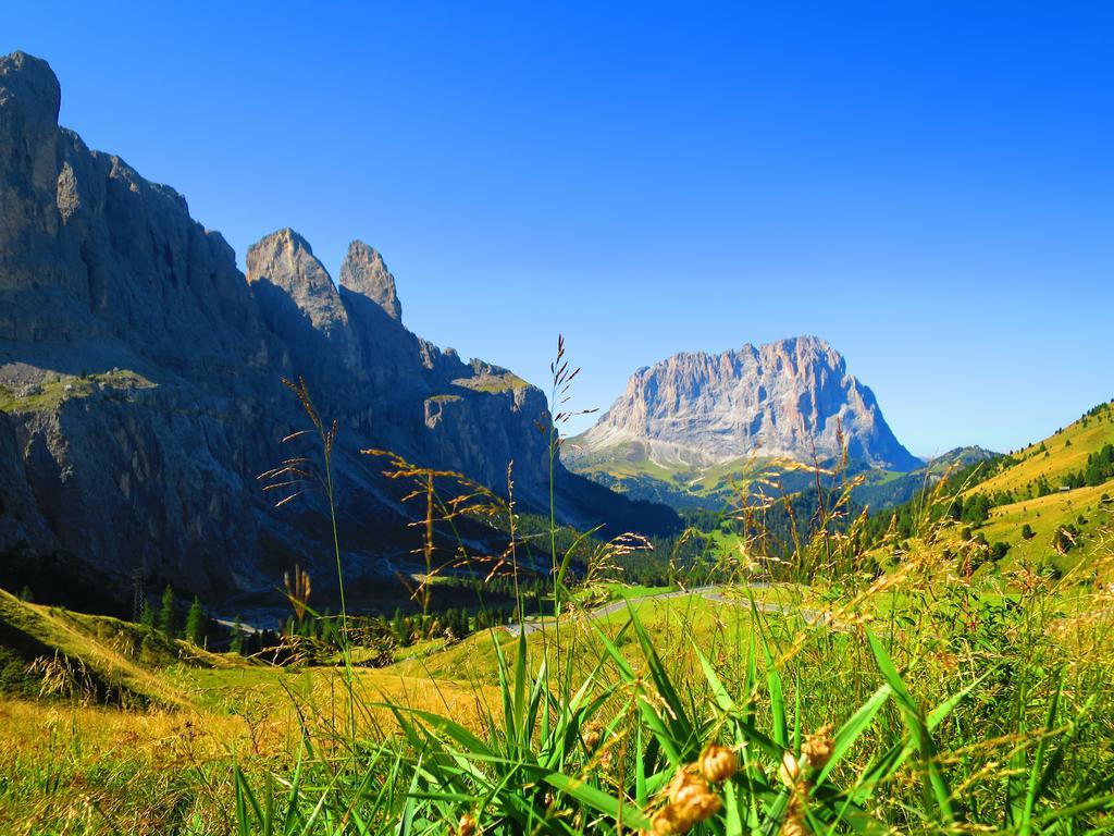Hotel La Pineta Sëlva di Val Gardena Eksteriør billede
