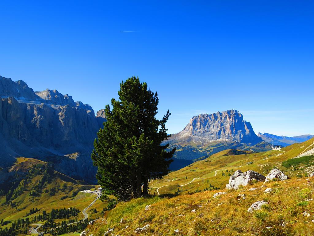 Hotel La Pineta Sëlva di Val Gardena Eksteriør billede